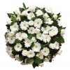 coroa funeral leiria